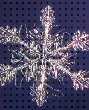 CRD VI: Preparing for Changes in Cross-Border Lending in 2026