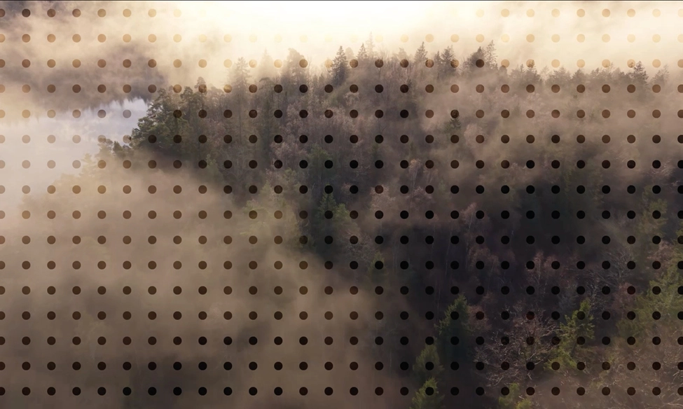 FCA Enforcement Watch and Beyond – Five Headline Trends for 2026